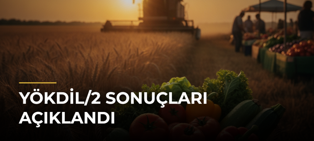 YÖKDİL/2 sonuçları açıklandı