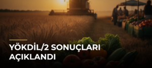 YÖKDİL/2 sonuçları açıklandı