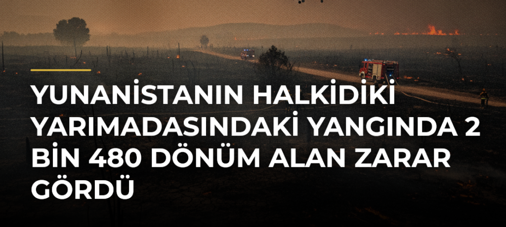 Yunanistanın Halkidiki Yarımadasındaki yangında 2 bin 480 dönüm alan zarar gördü