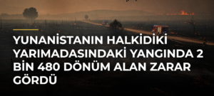 Yunanistanın Halkidiki Yarımadasındaki yangında 2 bin 480 dönüm alan zarar gördü