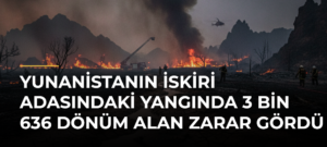 Yunanistanın İskiri Adasındaki Yangında 3 Bin 636 Dönüm Alan Zarar Gördü