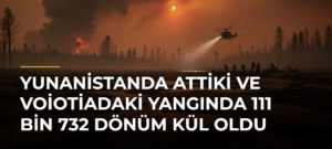 Yunanistanda Attiki ve Voiotiadaki yangında 111 bin 732 dönüm kül oldu
