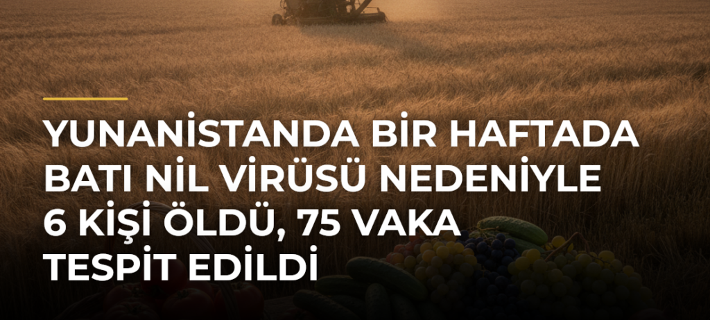 Yunanistanda bir haftada Batı Nil virüsü nedeniyle 6 kişi öldü, 75 vaka tespit edildi