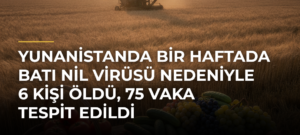 Yunanistanda bir haftada Batı Nil virüsü nedeniyle 6 kişi öldü, 75 vaka tespit edildi