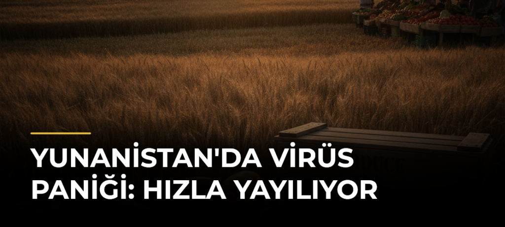 Yunanistan’da Virüs Paniği: Hızla Yayılıyor