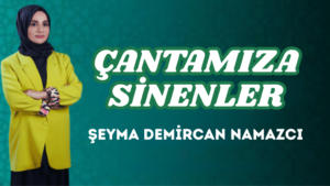 ÇANTAMIZA SİNENLER