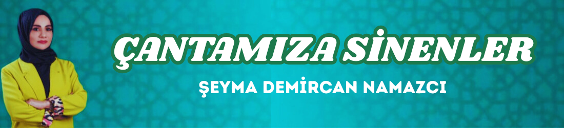 ÇANTAMIZA SİNENLER