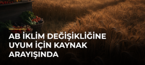AB iklim değişikliğine uyum için kaynak arayışında