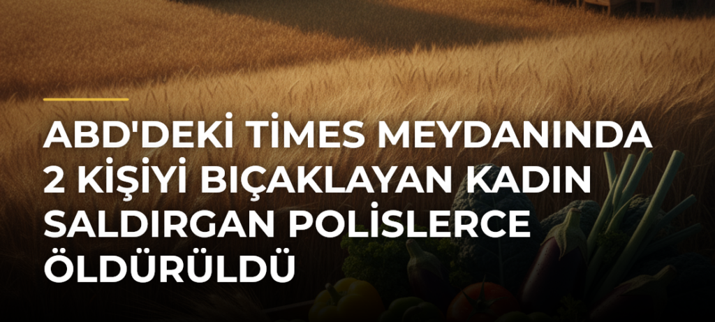 ABD’deki Times Meydanında 2 kişiyi bıçaklayan kadın saldırgan polislerce öldürüldü