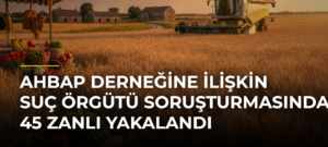 Ahbap Derneğine ilişkin suç örgütü soruşturmasında 45 zanlı yakalandı