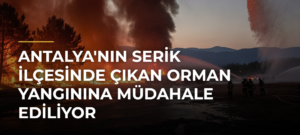 Antalya’nın Serik ilçesinde çıkan orman yangınına müdahale ediliyor