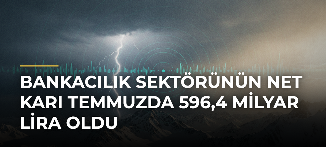 Bankacılık sektörünün net karı temmuzda 596,4 milyar lira oldu - Mirat Haber