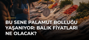 Bu Sene Palamut Bolluğu Yaşanıyor: Balık Fiyatları Ne Olacak?