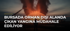 Bursada Orman Dışı Alanda Çıkan Yangına Müdahale Ediliyor