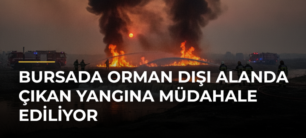 Bursada orman dışı alanda çıkan yangına müdahale ediliyor