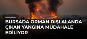Bursada orman dışı alanda çıkan yangına müdahale ediliyor