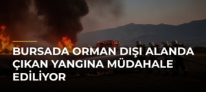 Bursada Orman Dışı Alanda Çıkan Yangına Müdahale Ediliyor