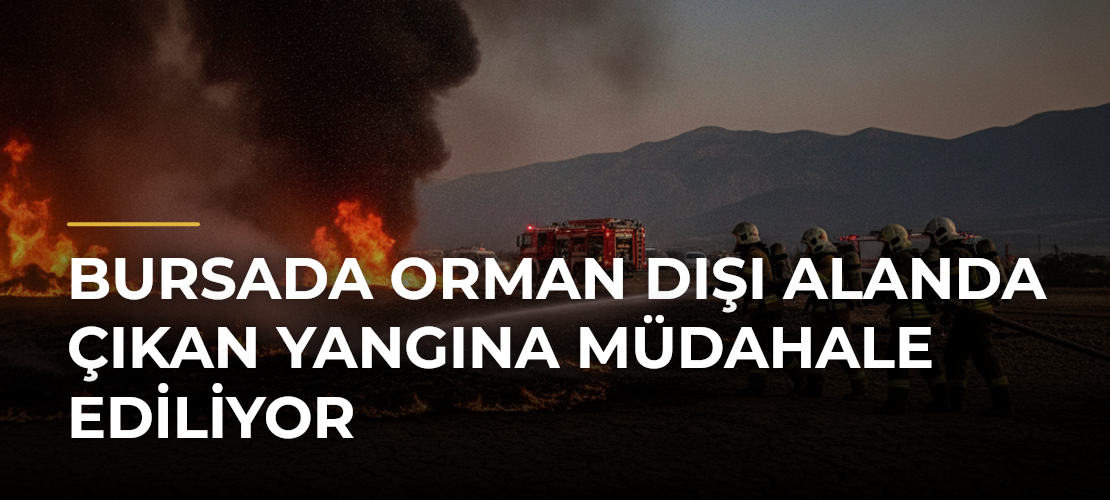 Bursada Orman Dışı Alanda Çıkan Yangına Müdahale Ediliyor - Mirat Haber
