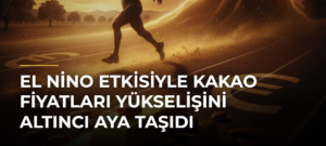 El Nino Etkisiyle Kakao Fiyatları Yükselişini Altıncı Aya Taşıdı