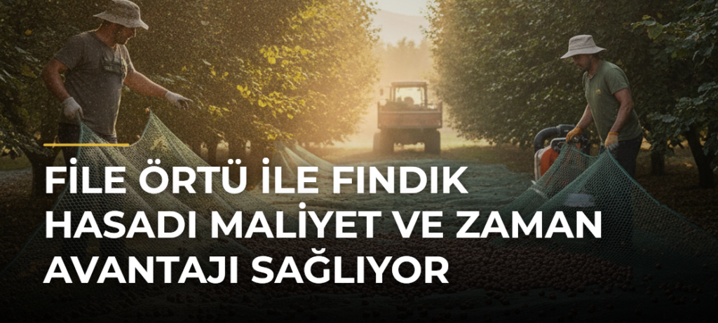 File örtü ile fındık hasadı maliyet ve zaman avantajı sağlıyor