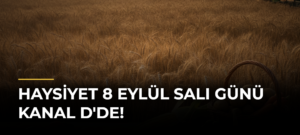 Haysiyet 8 Eylül Salı günü Kanal D’de!