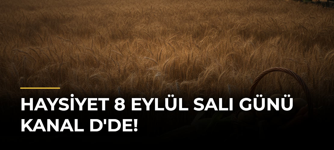 Haysiyet 8 Eylül Salı günü Kanal D'de!