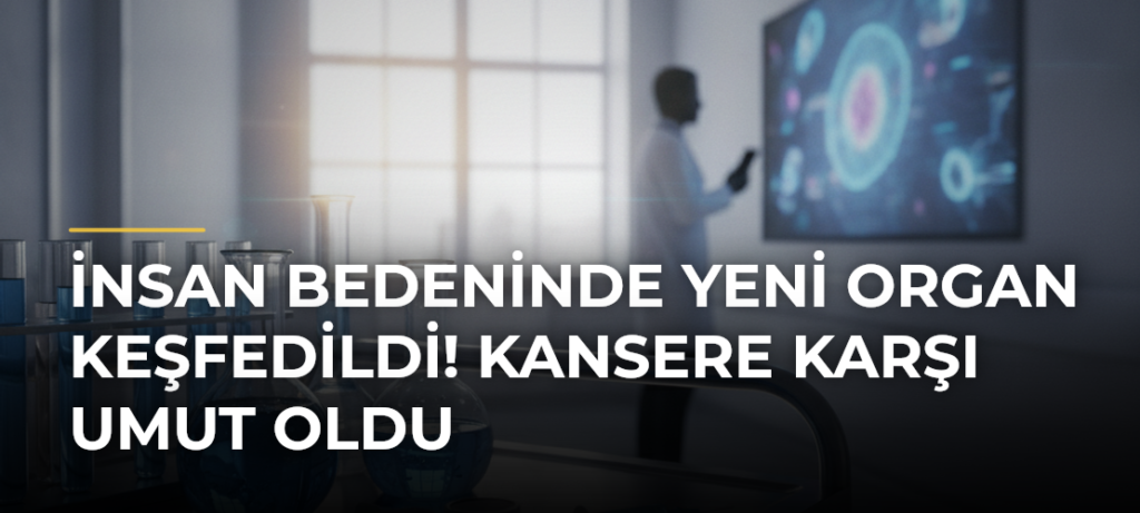 İnsan bedeninde yeni organ keşfedildi! Kansere karşı umut oldu