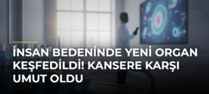 İnsan bedeninde yeni organ keşfedildi! Kansere karşı umut oldu