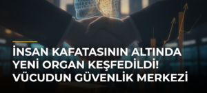 İnsan kafatasının altında yeni organ keşfedildi! Vücudun güvenlik merkezi