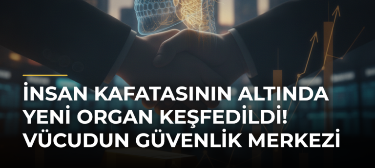 İnsan kafatasının altında yeni organ keşfedildi! Vücudun güvenlik merkezi