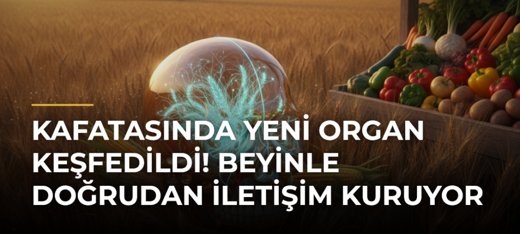 Kafatasında yeni organ keşfedildi! Beyinle doğrudan iletişim kuruyor