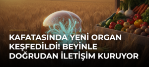 Kafatasında yeni organ keşfedildi! Beyinle doğrudan iletişim kuruyor