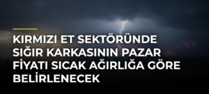 Kırmızı et sektöründe sığır karkasının pazar fiyatı sıcak ağırlığa göre belirlenecek