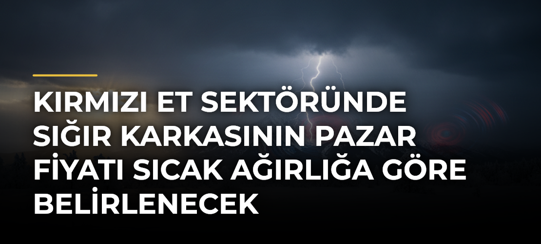 Kırmızı et sektöründe sığır karkasının pazar fiyatı sıcak ağırlığa göre belirlenecek