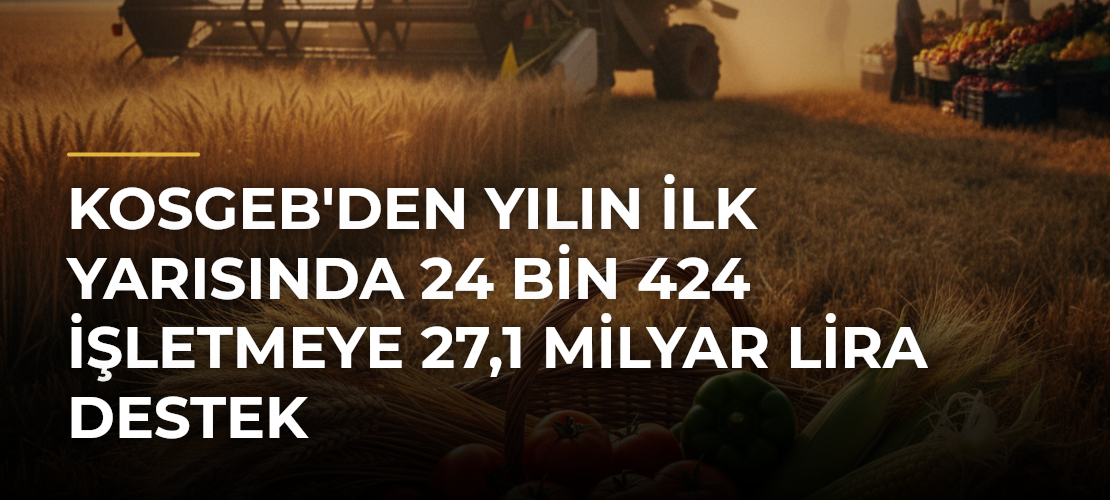 KOSGEB'den yılın ilk yarısında 24 bin 424 işletmeye 27,1 milyar lira destek - Haber Sitesi