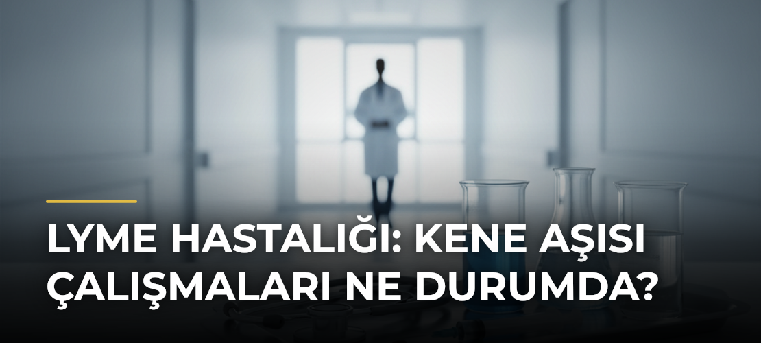 Lyme hastalığı: Kene aşısı çalışmaları ne durumda? - Mirat Haber