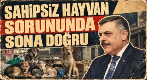 SAHİPSİZ HAYVANLAR SORUNU ÇÖZÜLÜYOR