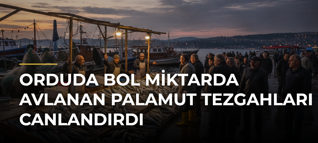 Orduda bol miktarda avlanan palamut tezgahları canlandırdı - Mirat Haber