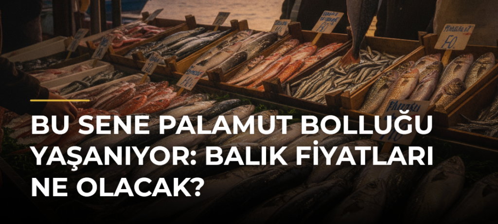 Bu Sene Palamut Bolluğu Yaşanıyor: Balık Fiyatları Ne Olacak?