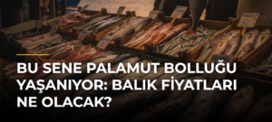Bu Sene Palamut Bolluğu Yaşanıyor: Balık Fiyatları Ne Olacak?