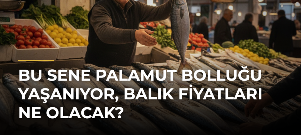 Bu sene palamut bolluğu yaşanıyor, balık fiyatları ne olacak?