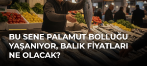 Bu sene palamut bolluğu yaşanıyor, balık fiyatları ne olacak?