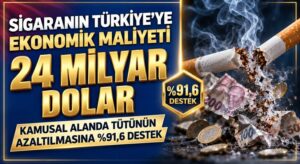 Sigaranın Türkiye Ekonomisine Yıllık Maliyeti