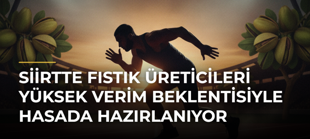 Siirtte fıstık üreticileri yüksek verim beklentisiyle hasada hazırlanıyor