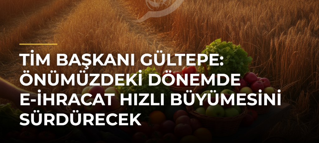 TİM Başkanı Gültepe: Önümüzdeki Dönemde E-ihracat Hızlı Büyümesini Sürdürecek