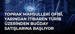 Toprak Mahsulleri Ofisi, yarından itibaren TÜRİB üzerinden buğday satışlarına başlıyor
