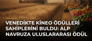 Venedikte Kineo Ödülleri sahiplerini buldu: Alp Navruza uluslararası ödül