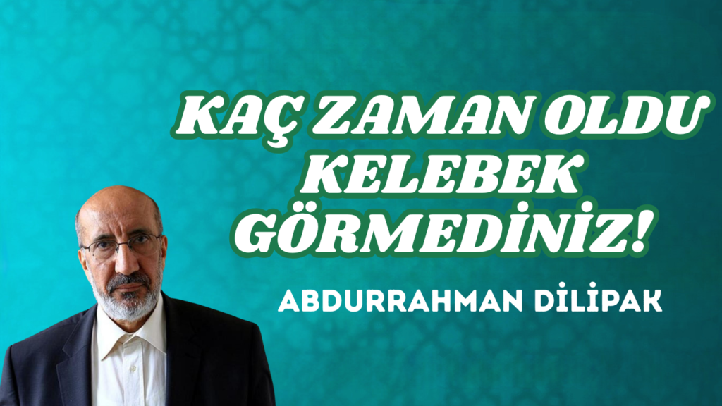 KAÇ ZAMAN OLDU KELEBEK GÖRMEDİNİZ!