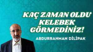 KAÇ ZAMAN OLDU KELEBEK GÖRMEDİNİZ!