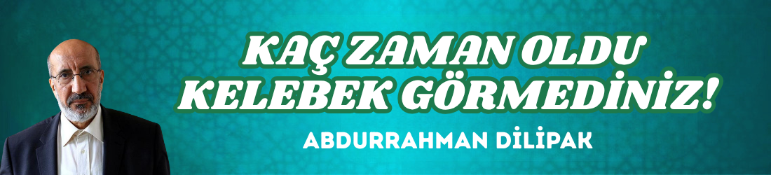 KAÇ ZAMAN OLDU KELEBEK GÖRMEDİNİZ!